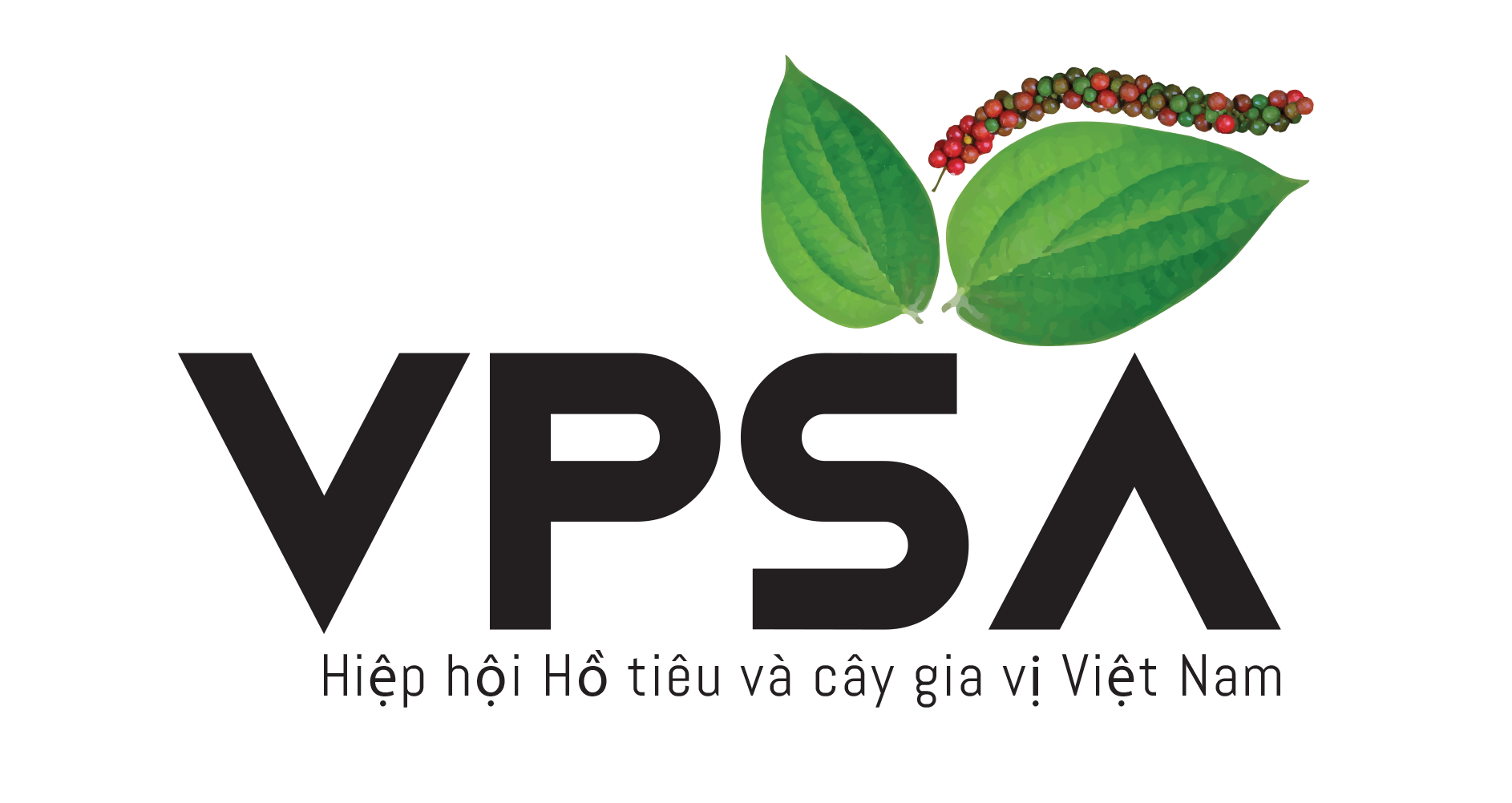 VPSA logo